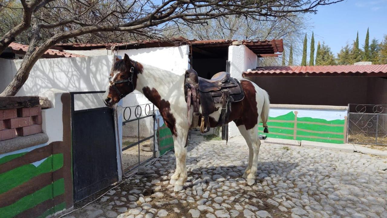 Rancho Labradores Atotonilco  Bagian luar foto